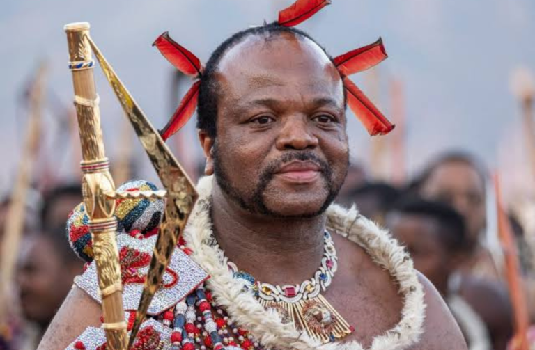 ROI-Mswati-768x503